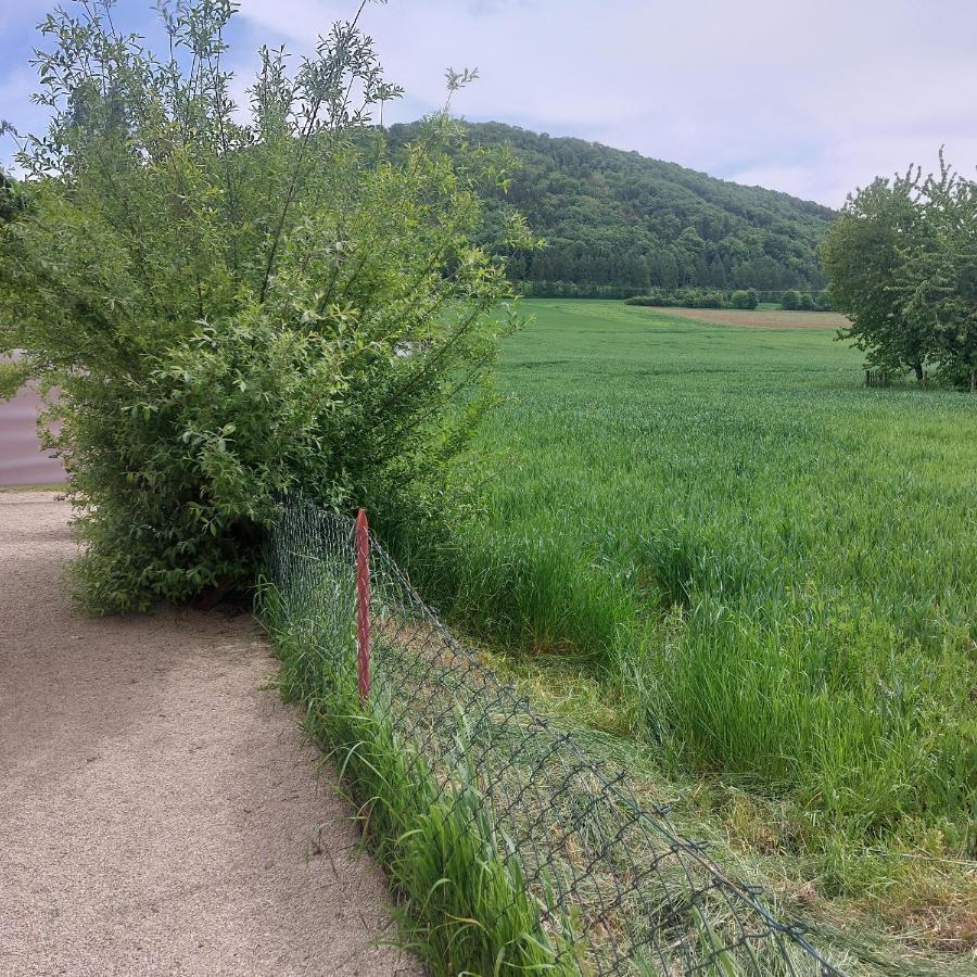 Ferienwohnung Rudat Treuchtlingen Zewnętrze zdjęcie